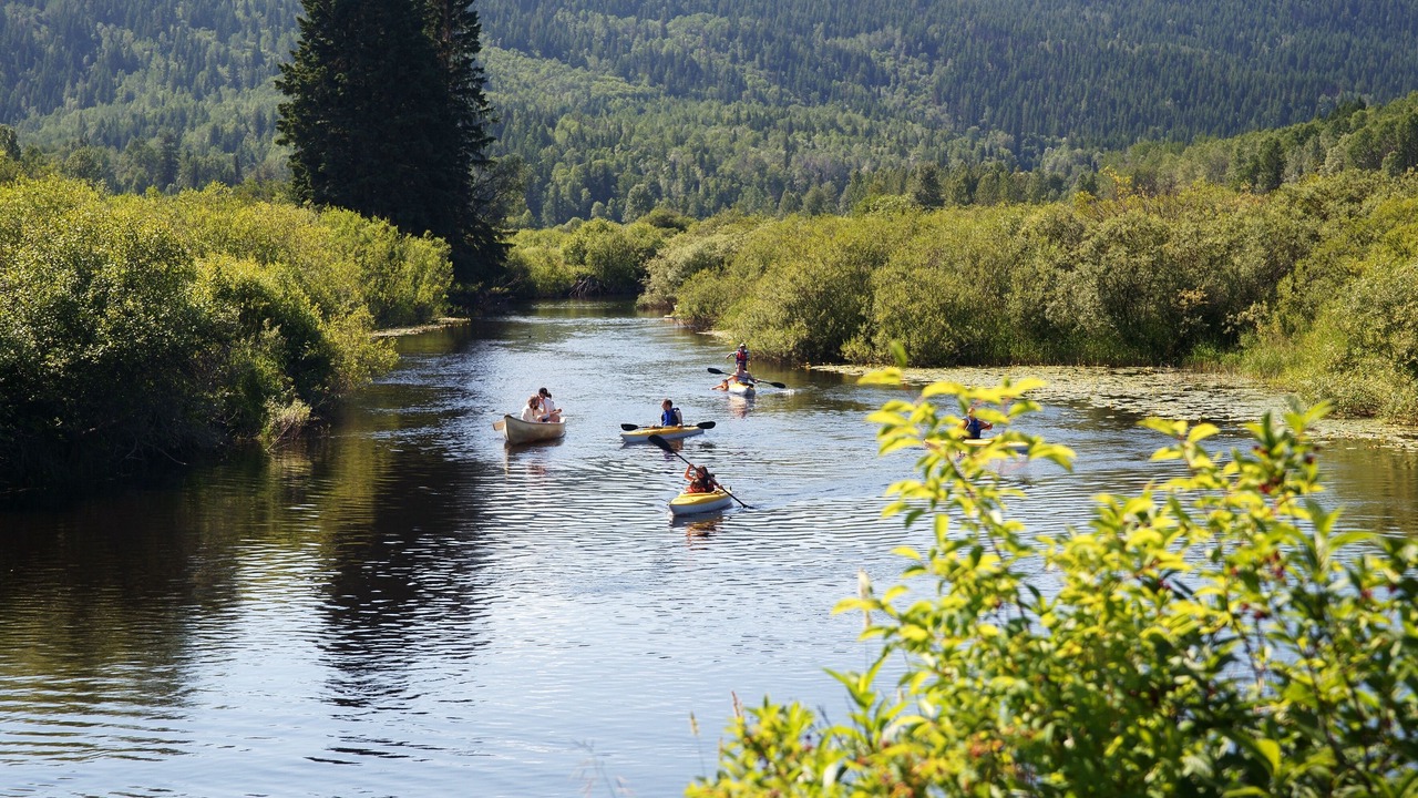 Photo of Outdoor in Canim Lake