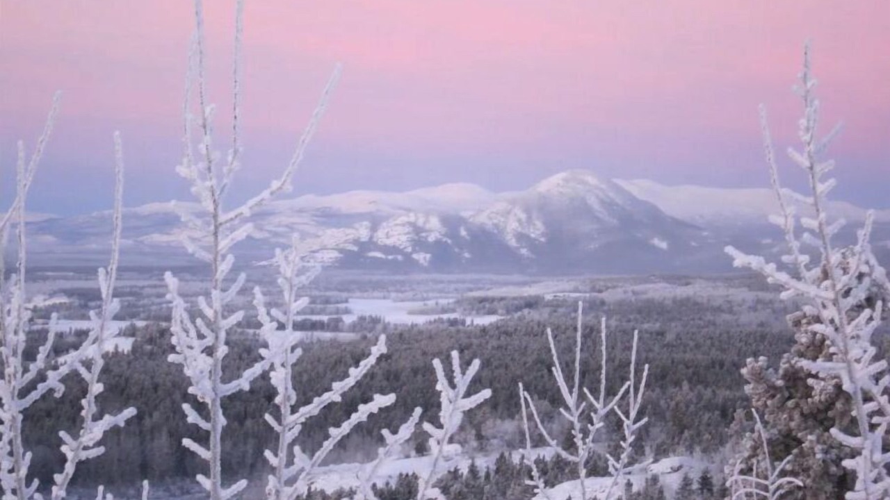 Photo of Others in Whitehorse
