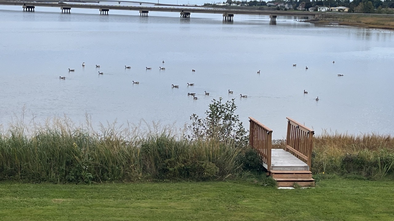 Photo of Outdoor in Sainte-Anne-de-Kent