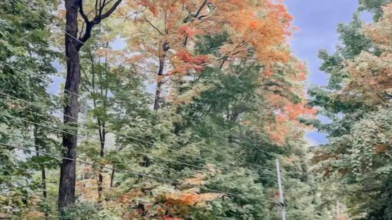 Photo of Outdoor in Adolphustown