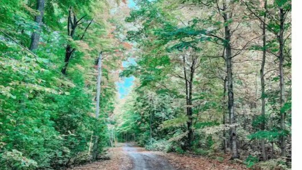 Photo of Outdoor in Adolphustown