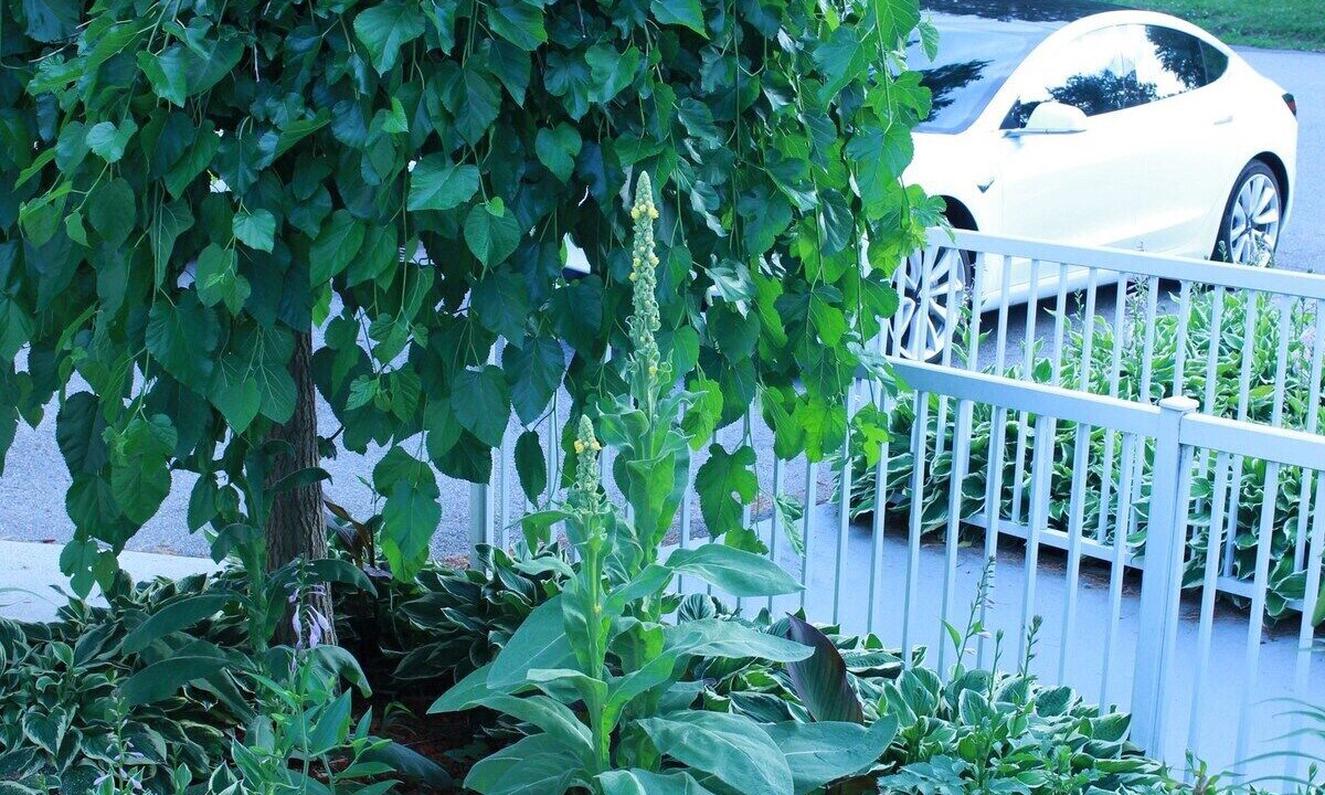 Photo of Outdoor in Aylmer