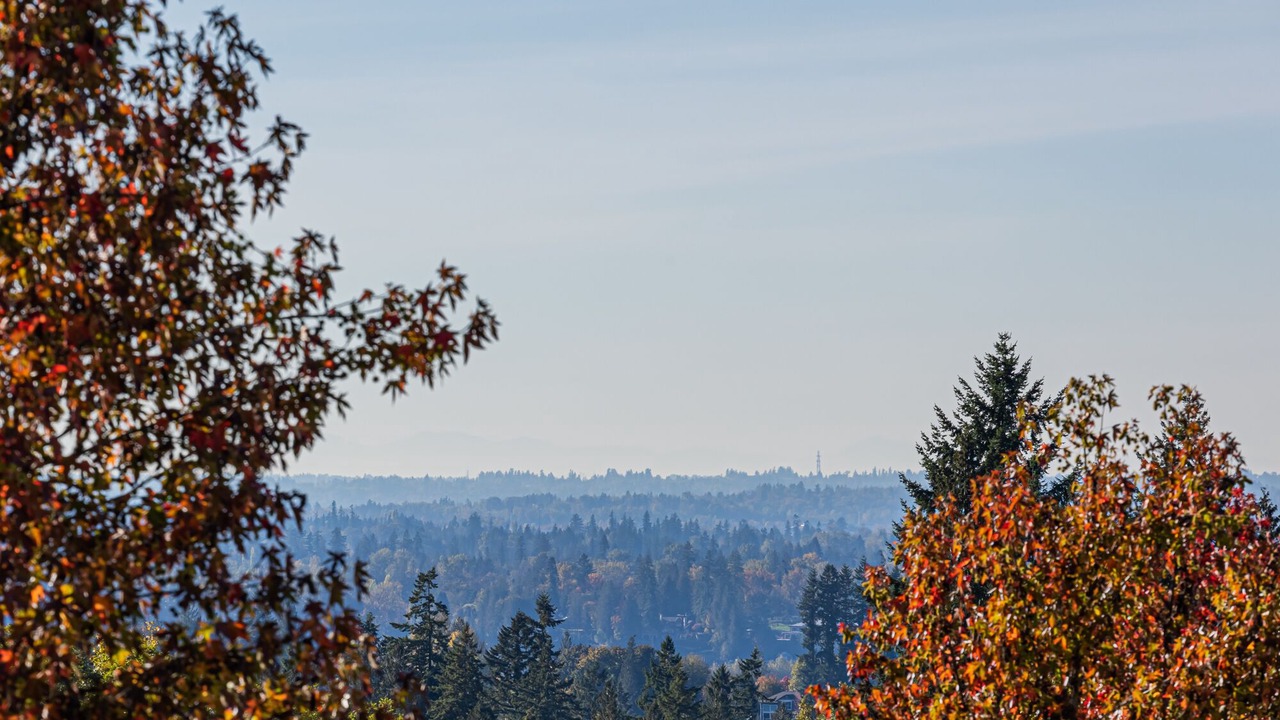 Photo of Others in Maple Ridge
