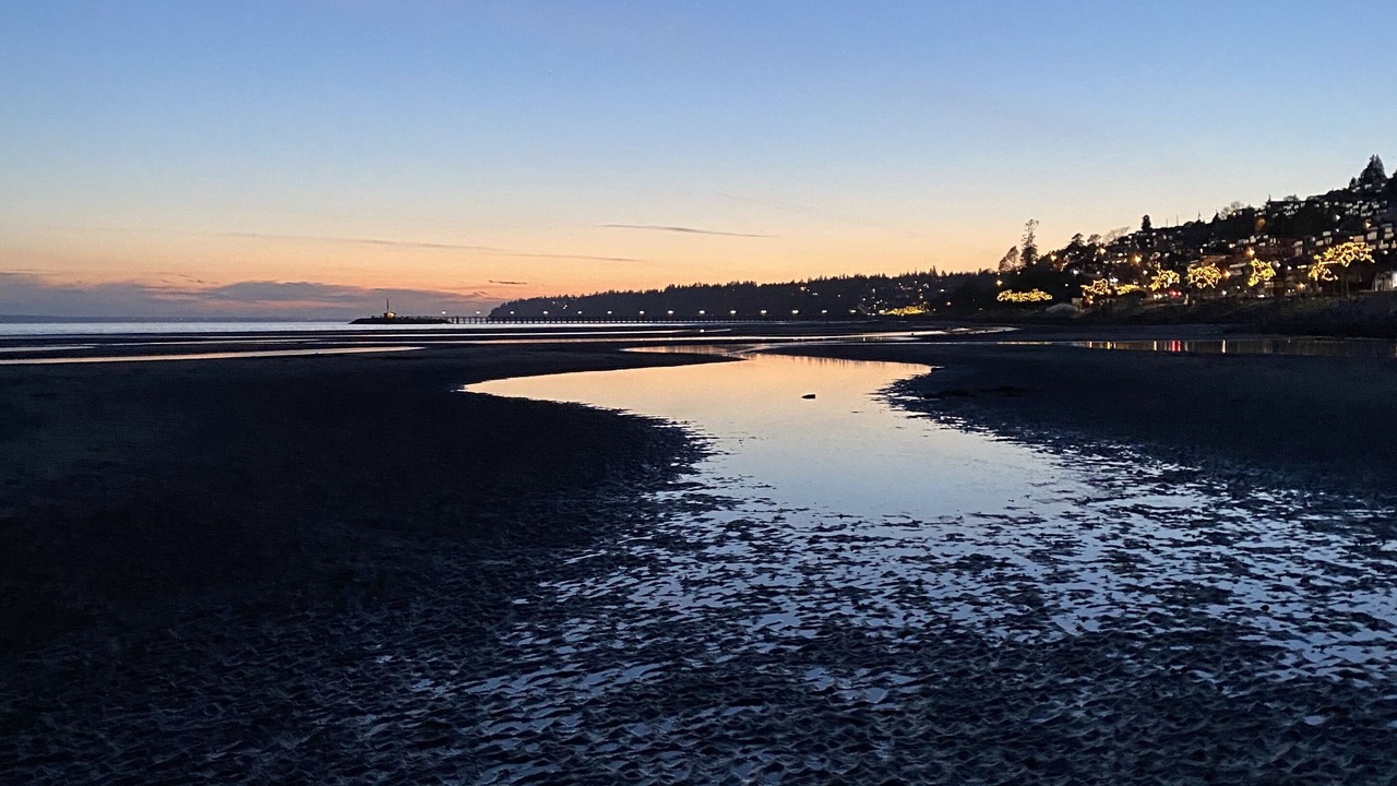 Photo of Others in White Rock