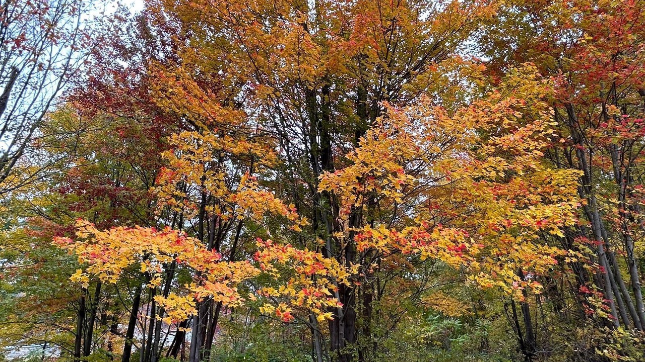 Photo of Outdoor in Georgian Bay