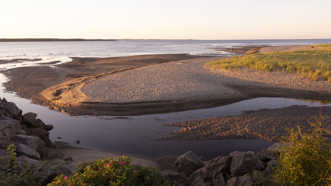 Photo of Others in Pointe-du-Chene