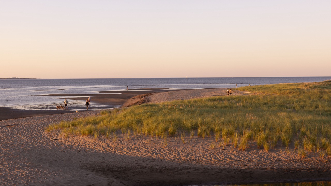Photo of Others in Pointe-du-Chene