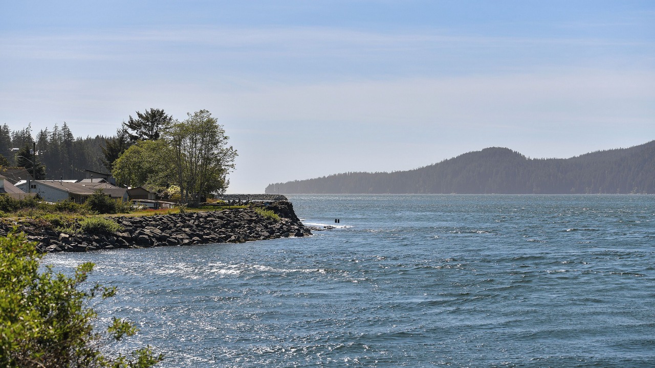 Photo of Others in Port Renfrew