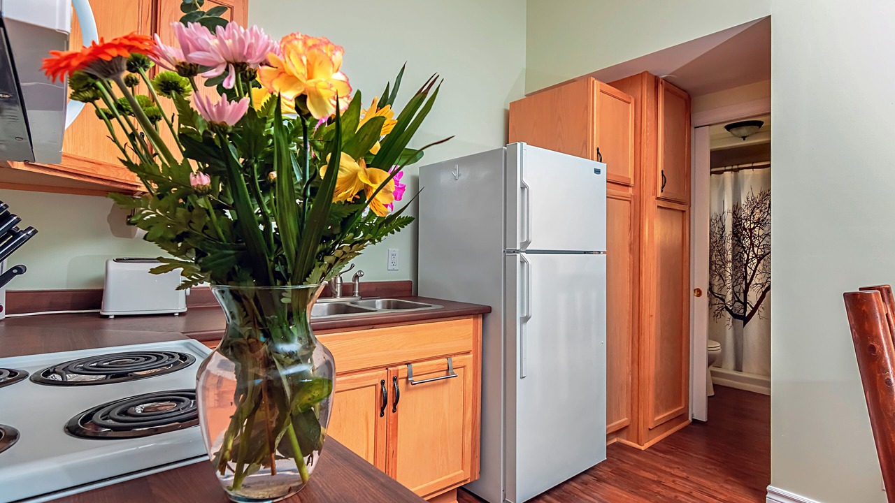 Photo of Kitchen in Milford