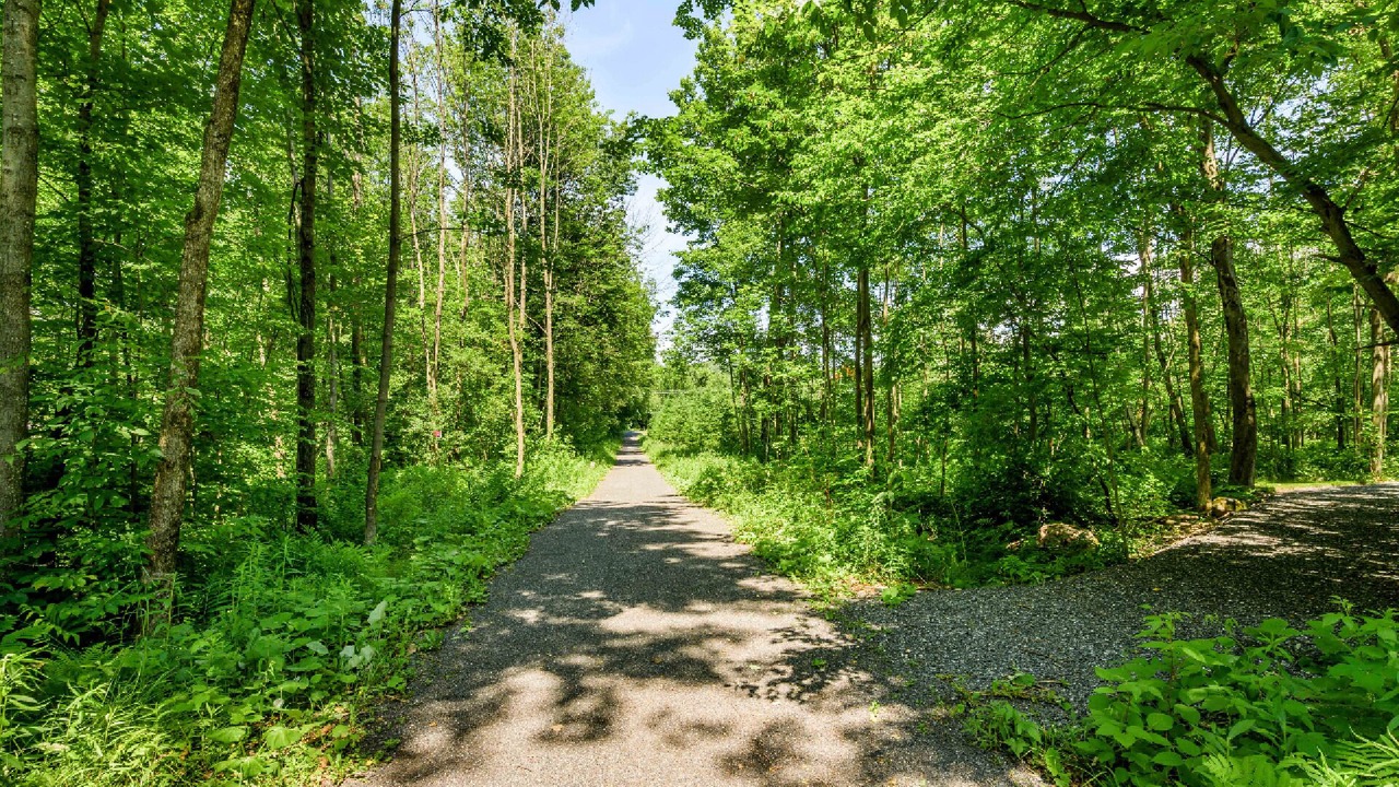 Photo of Outdoor in Shefford