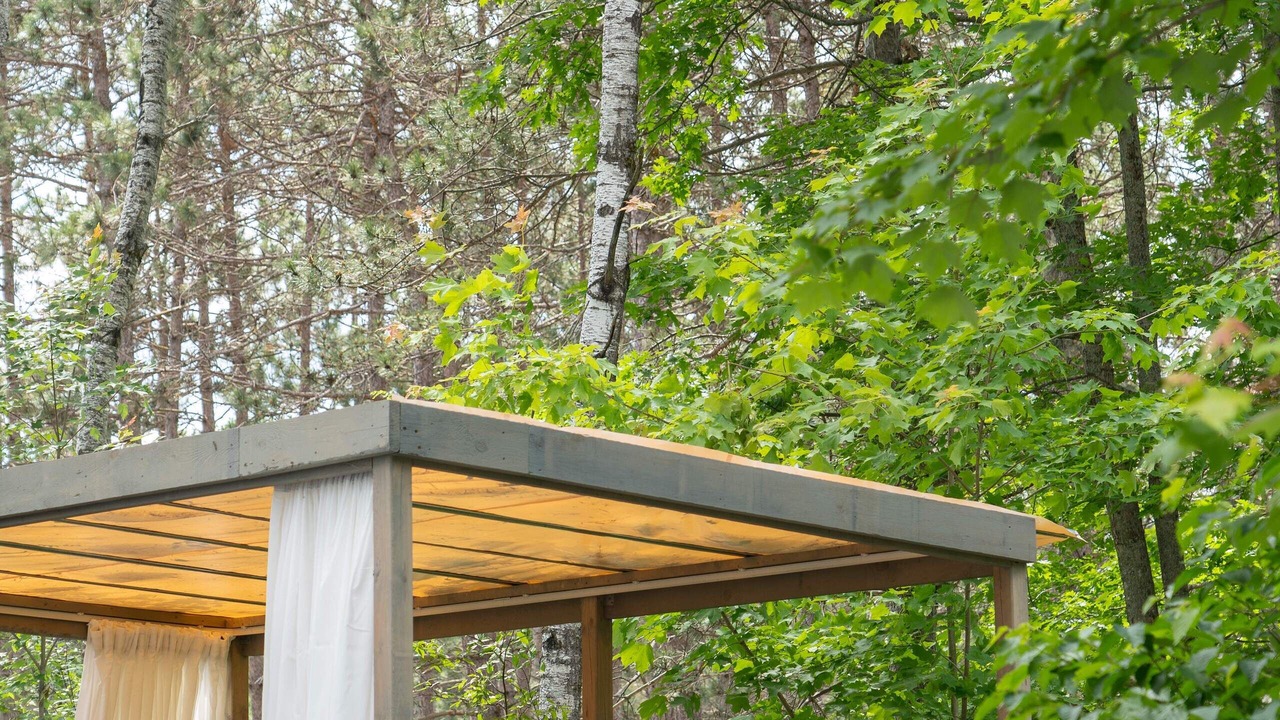 Photo of Others in South Algonquin