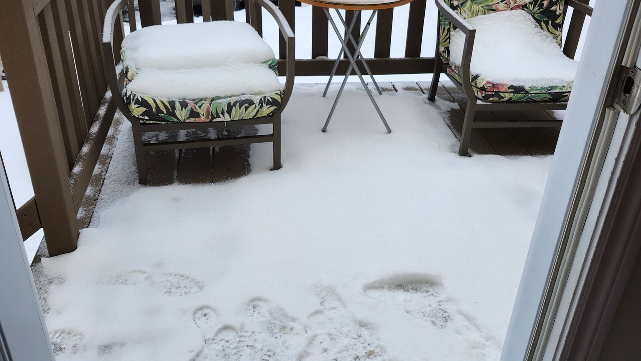 Photo of Outdoor in Grand Falls - Windsor
