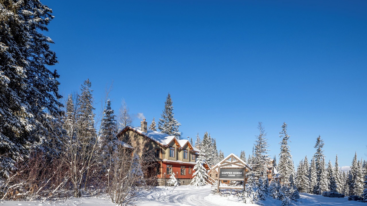 Photo of Outdoor in Golden