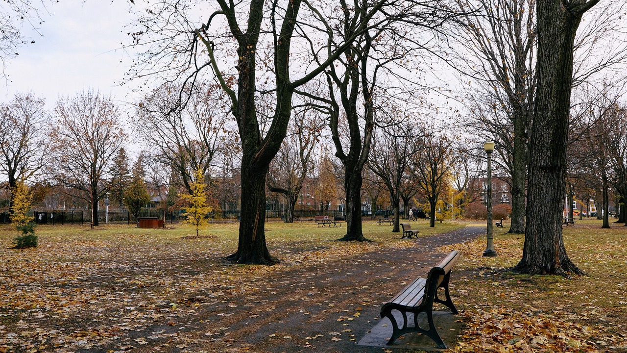Photo of Outdoor in De Lorimier