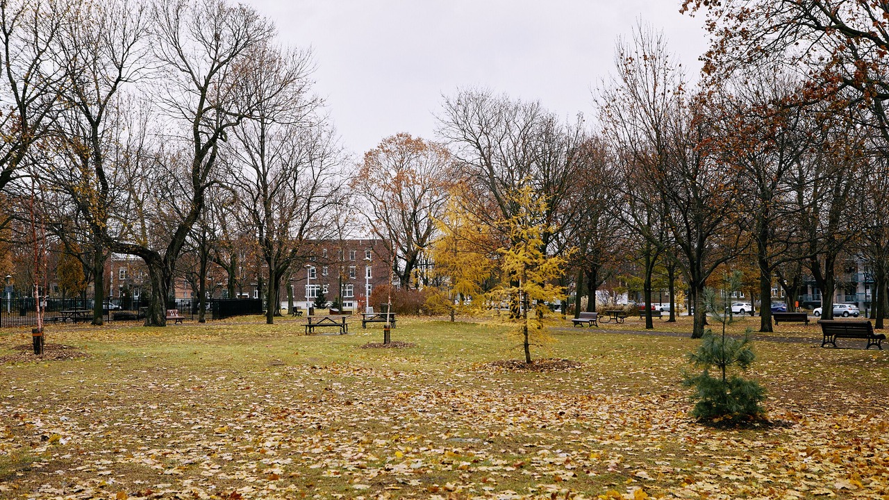 Photo of Outdoor in De Lorimier