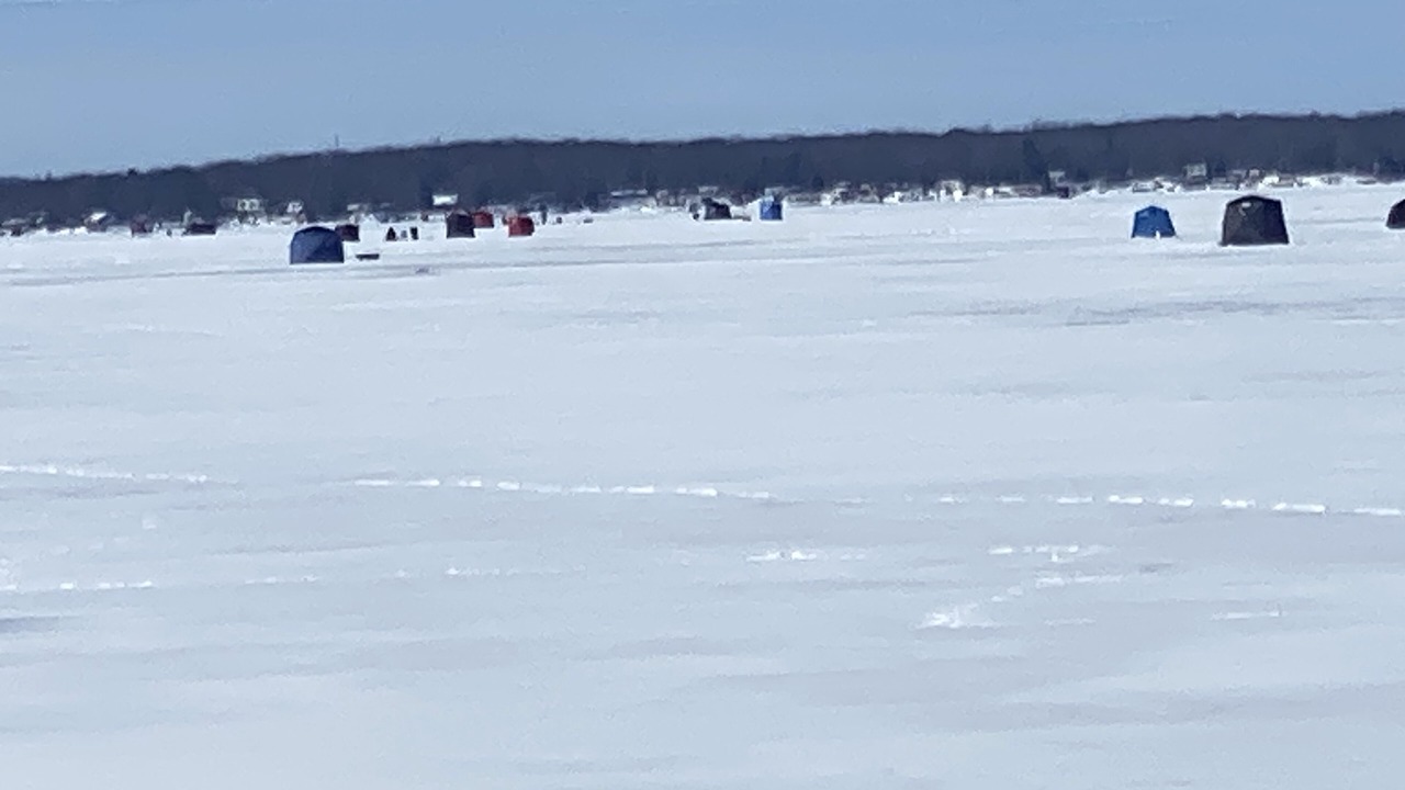 Photo of Others in Georgina