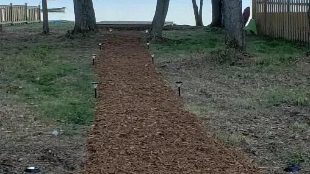 Photo of Others in North Bay