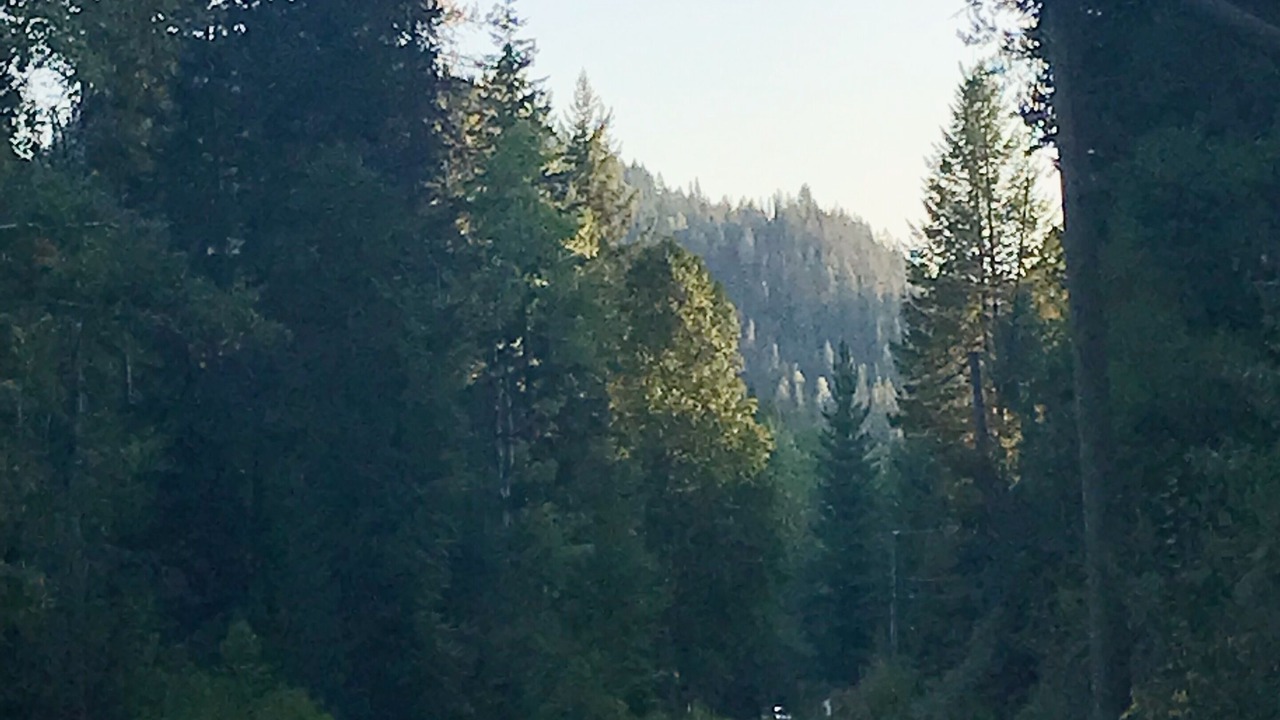 Photo of Others in Central Kootenay