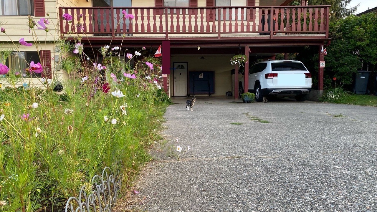 Photo of Outdoor in Aldergrove