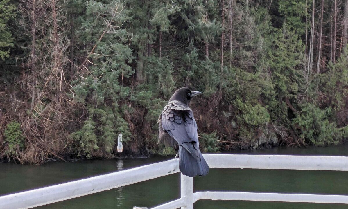 Photo of Outdoor in Bowen Island