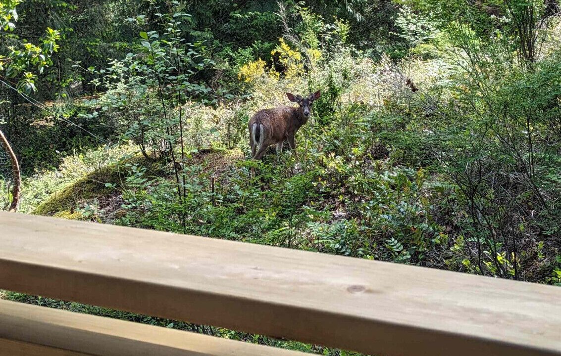 Photo of Outdoor in Bowen Island