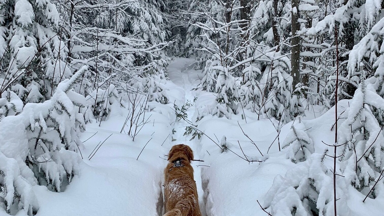 Photo of Others in Saint Donat
