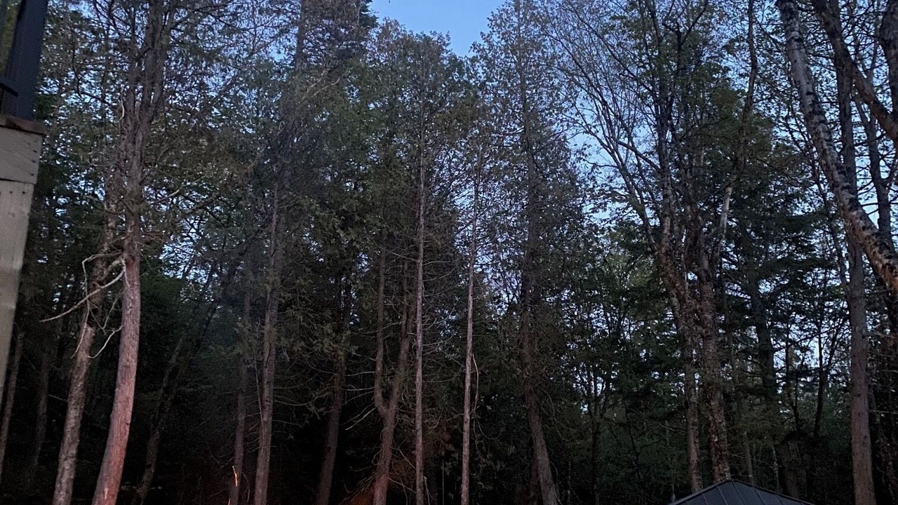 Photo of Outdoor in Saint Donat