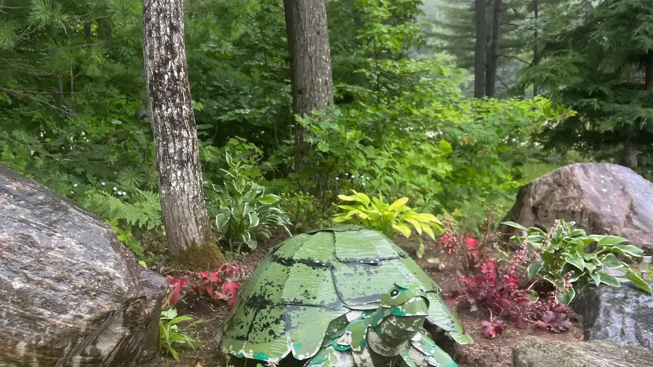 Photo of Outdoor in Port Carling