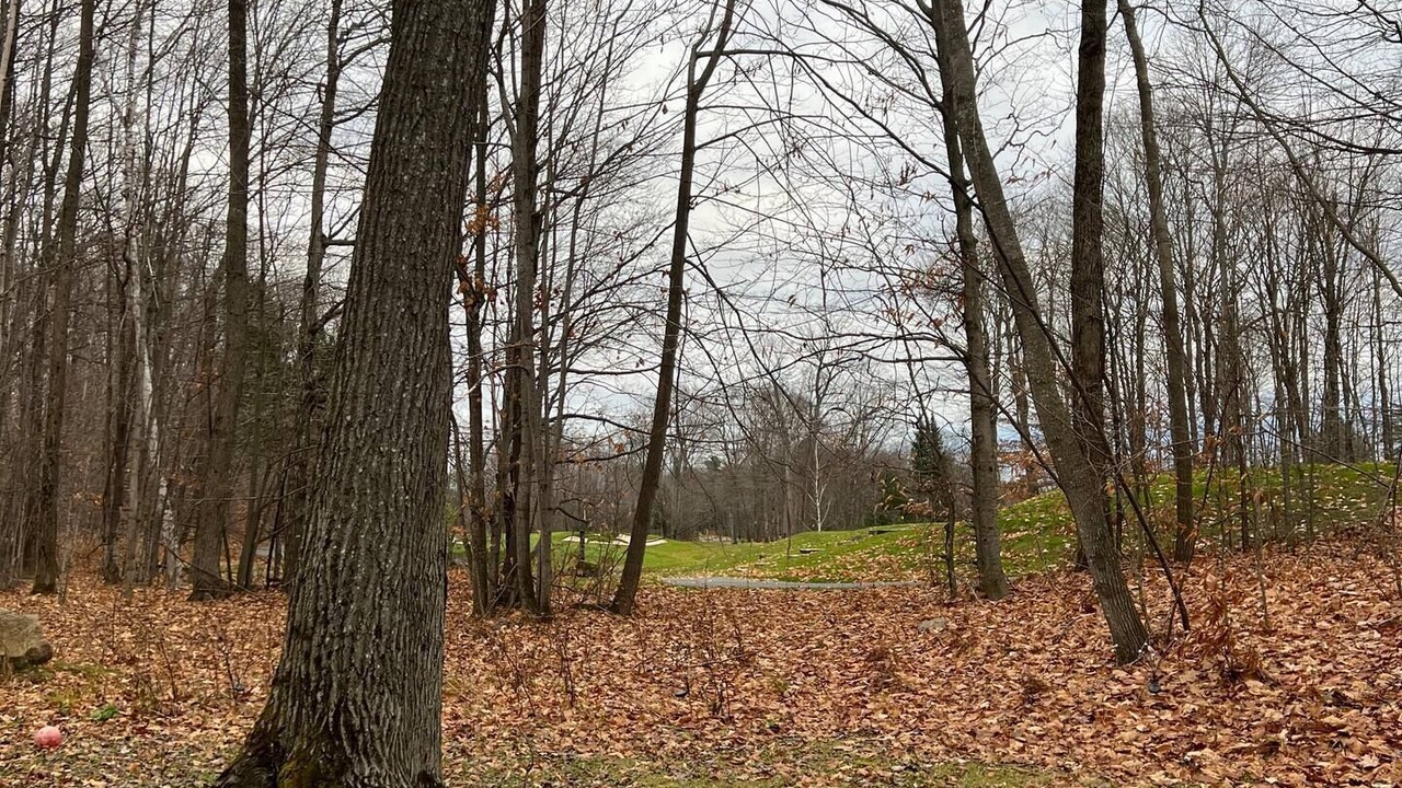 Photo of Outdoor in Port Carling