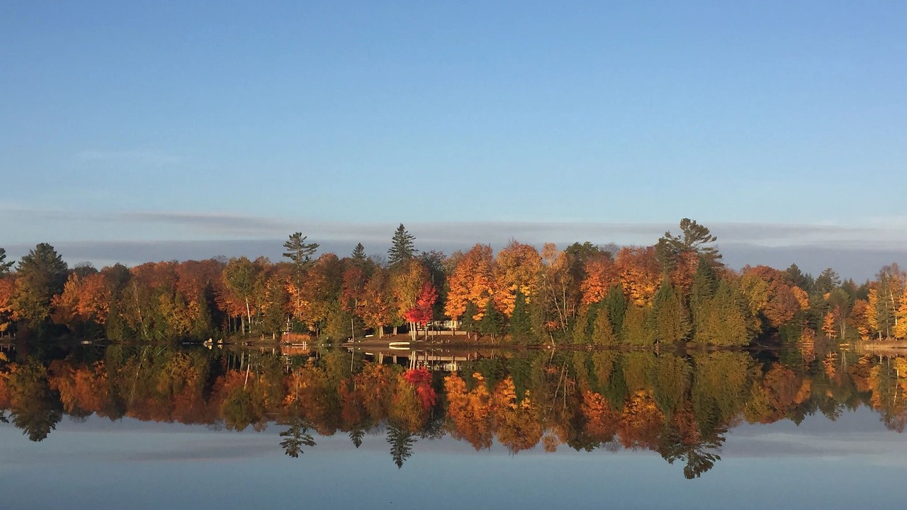 Photo of Others in Trent Lakes
