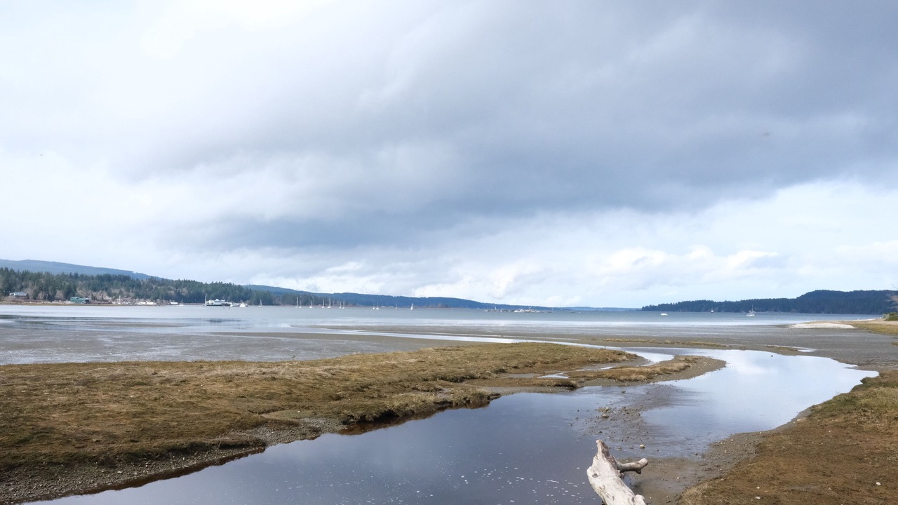 Photo of Others in Fanny Bay