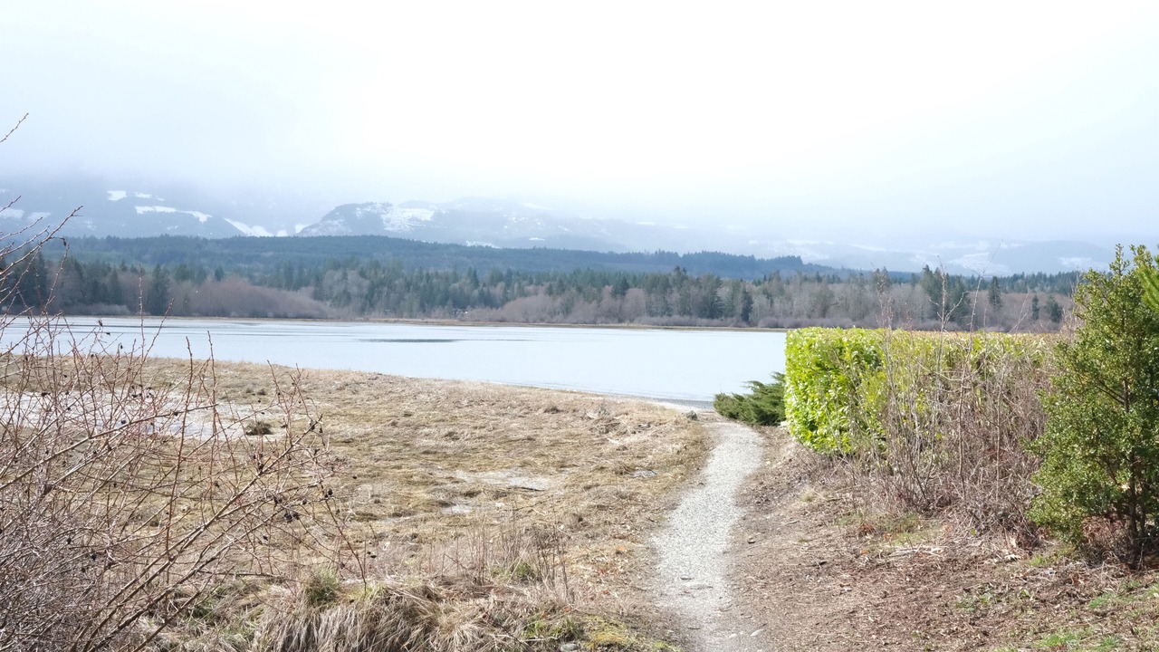 Photo of Others in Fanny Bay