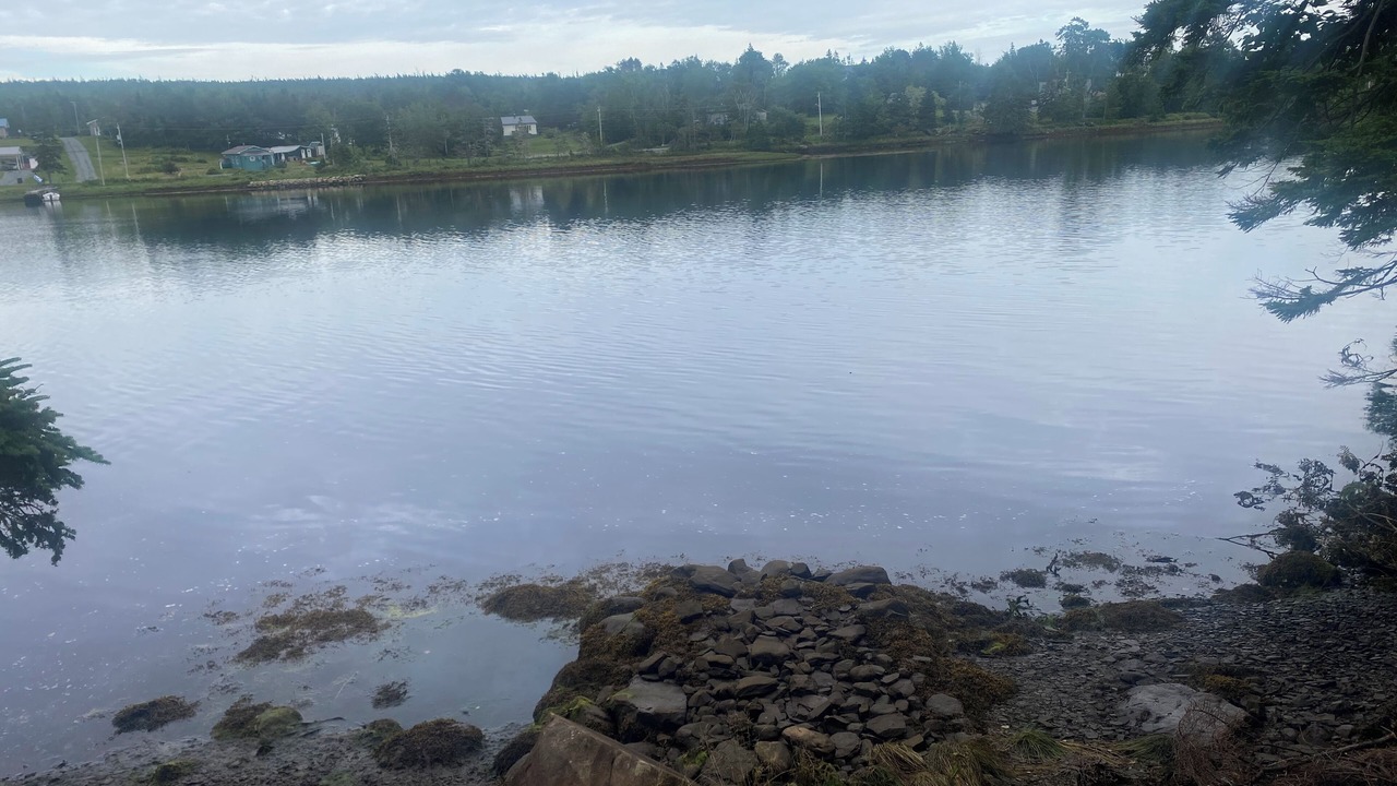 Photo of Outdoor in Sheet Harbour