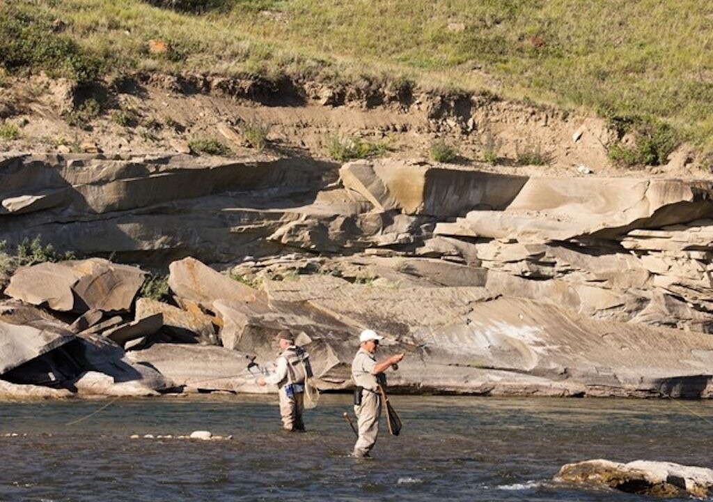 Photo of Others in Southeast Calgary
