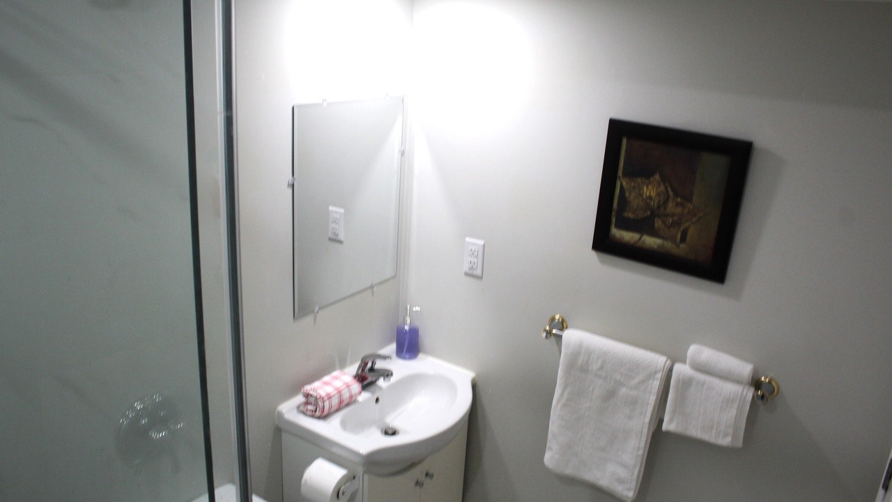 Photo of Bathroom in Brampton