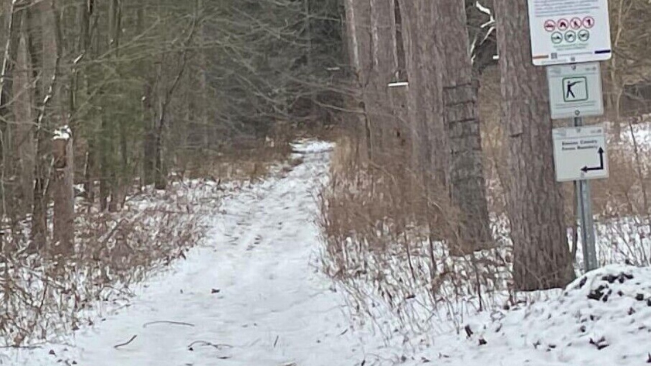 Photo of Outdoor in Springwater