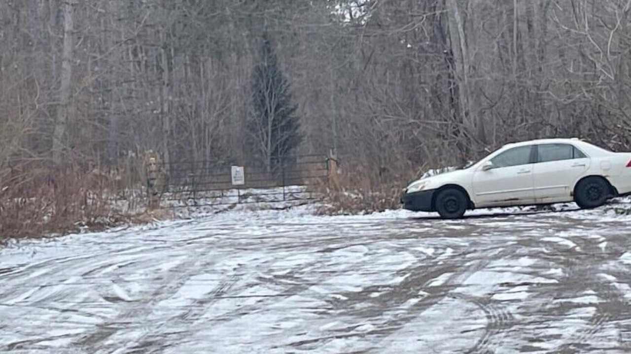 Photo of Outdoor in Springwater