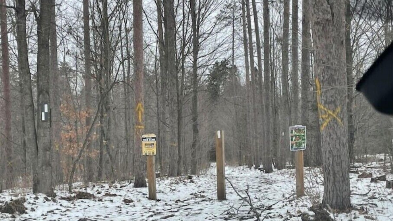 Photo of Outdoor in Springwater