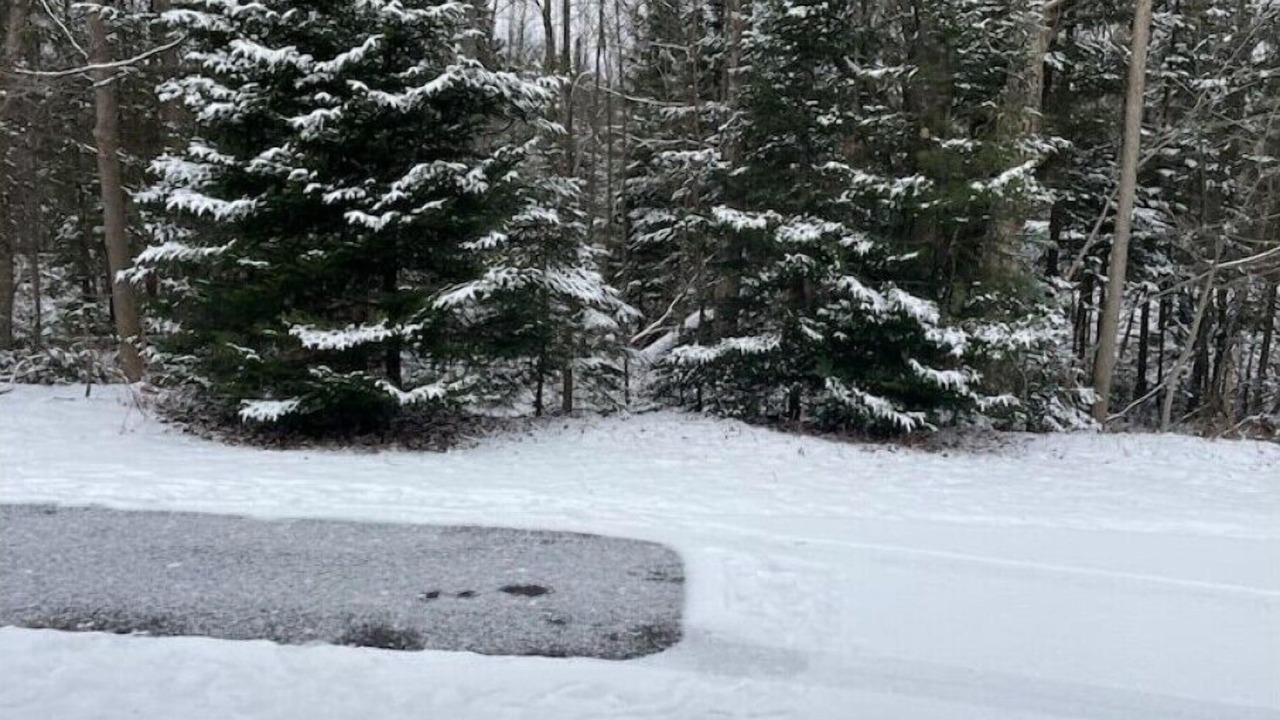 Photo of Bedroom in Springwater
