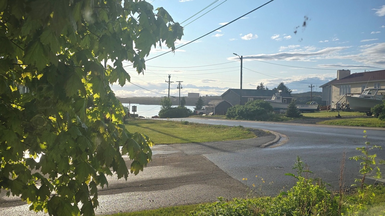 Photo of Others in Arnold's Cove
