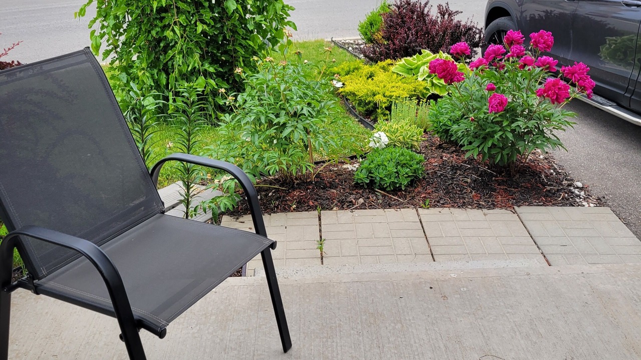 Photo of Outdoor in St. Davids