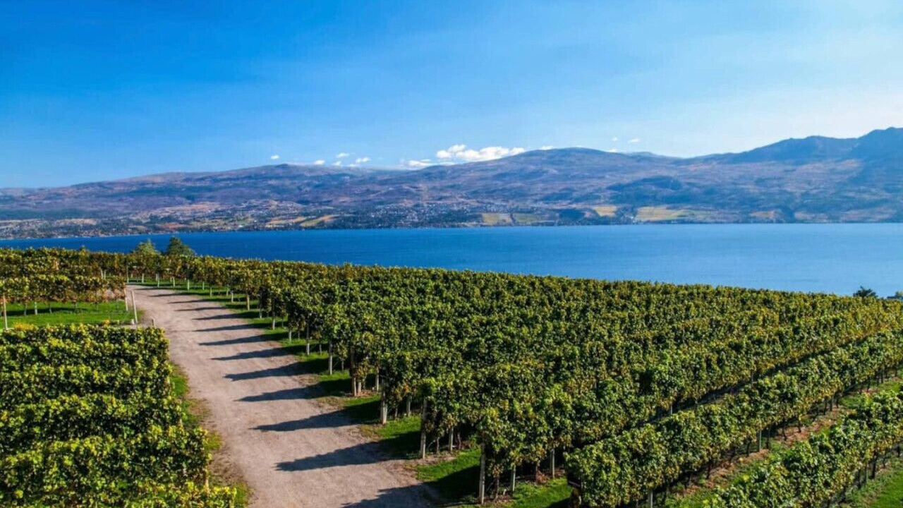 Photo of Others in Central Okanagan