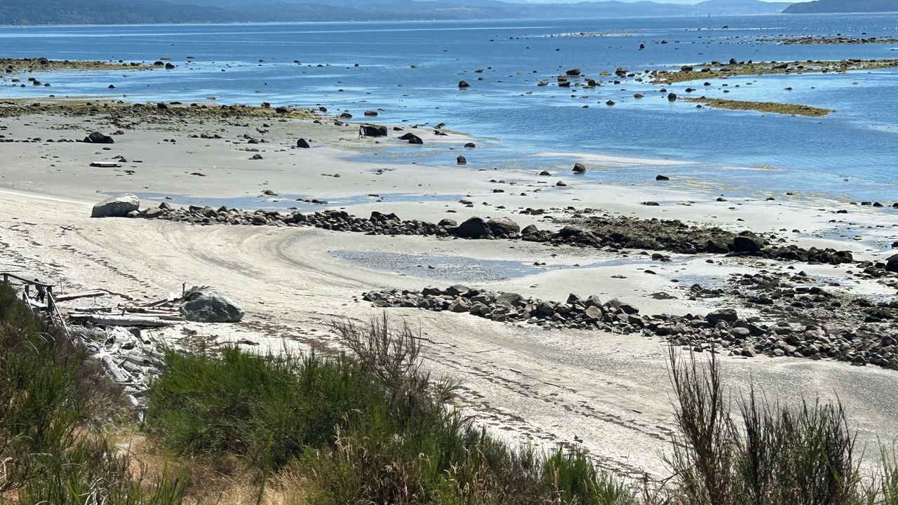 Photo of Others in Savary Island