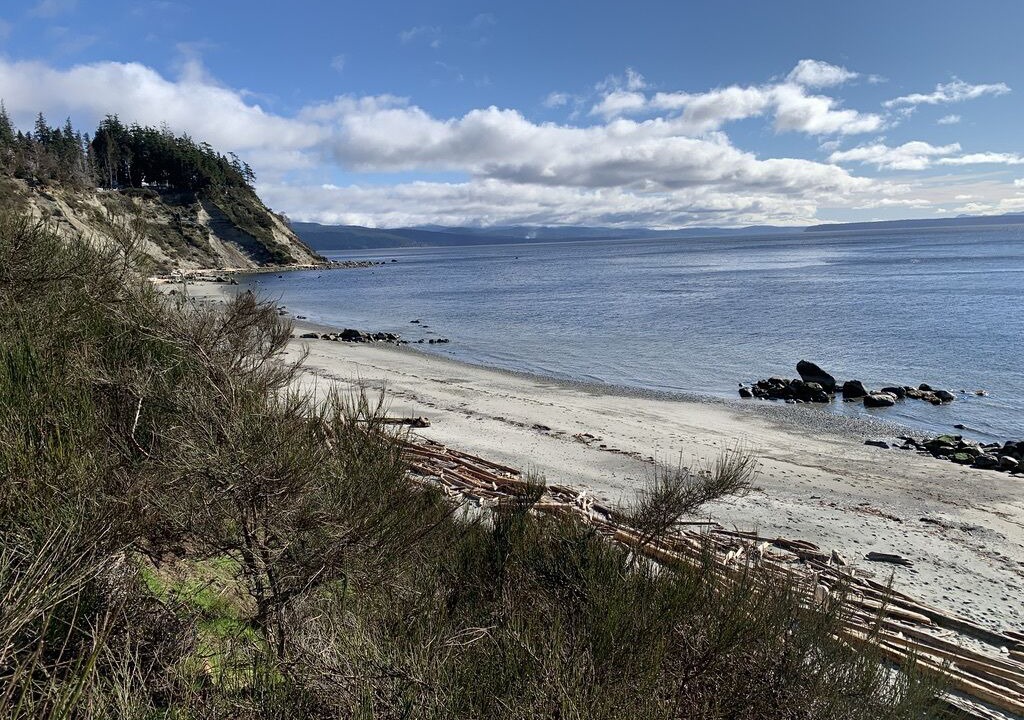 Photo of Others in Savary Island