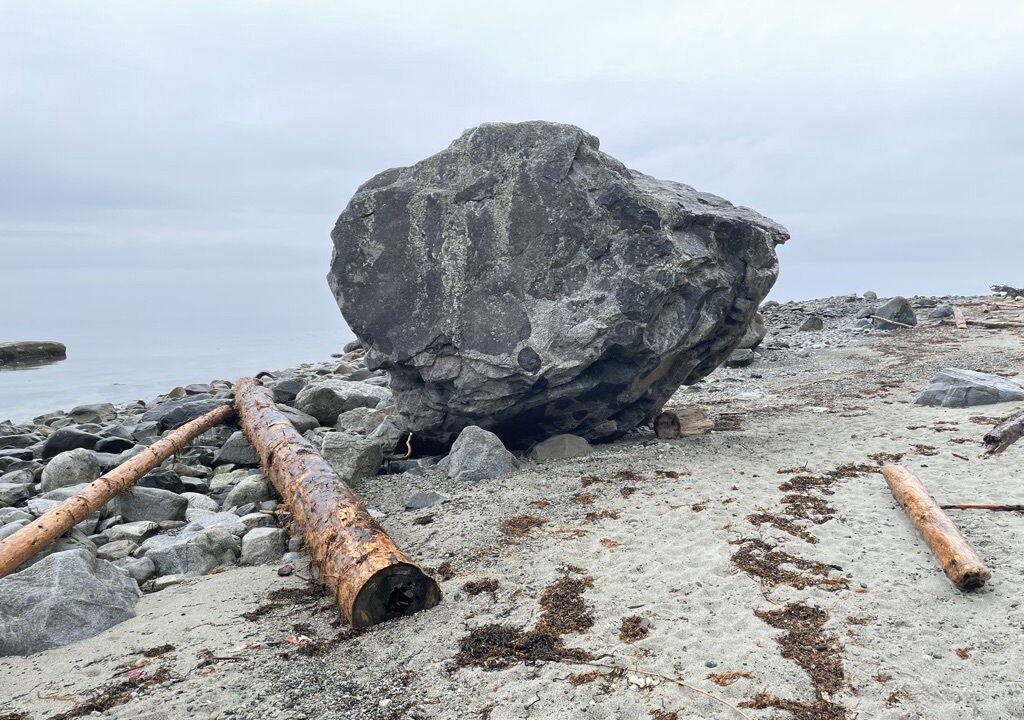Photo of Others in Savary Island