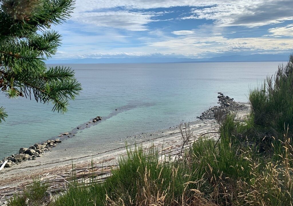 Photo of Others in Savary Island