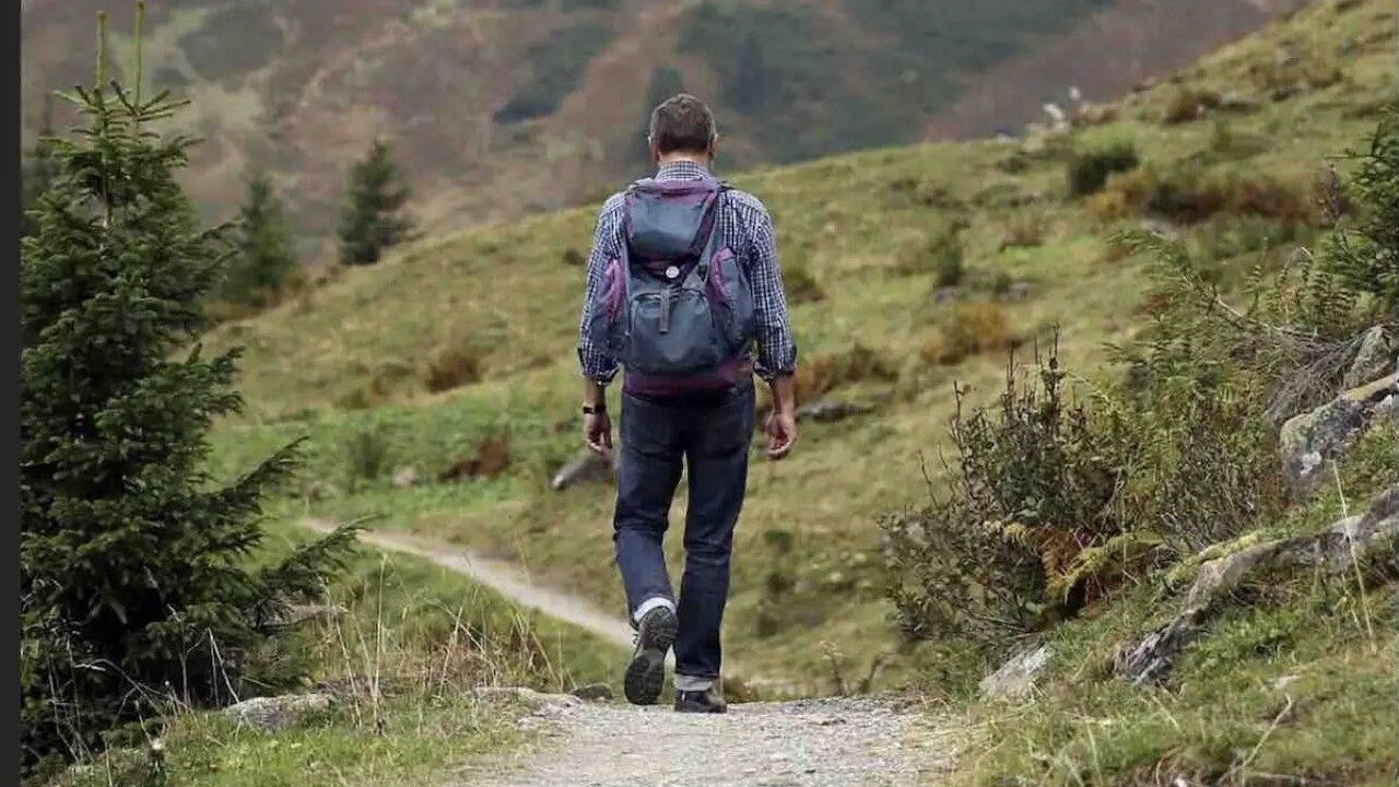 Photo of Others in Cougar Creek