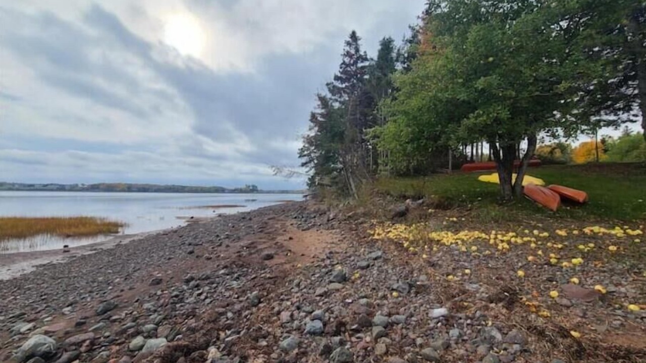 Photo of Others in Tatamagouche