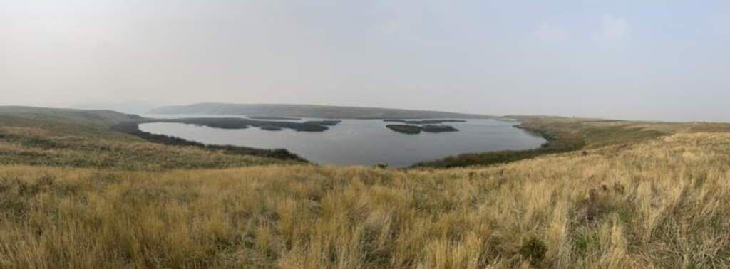 Photo of Others in Medicine Hat