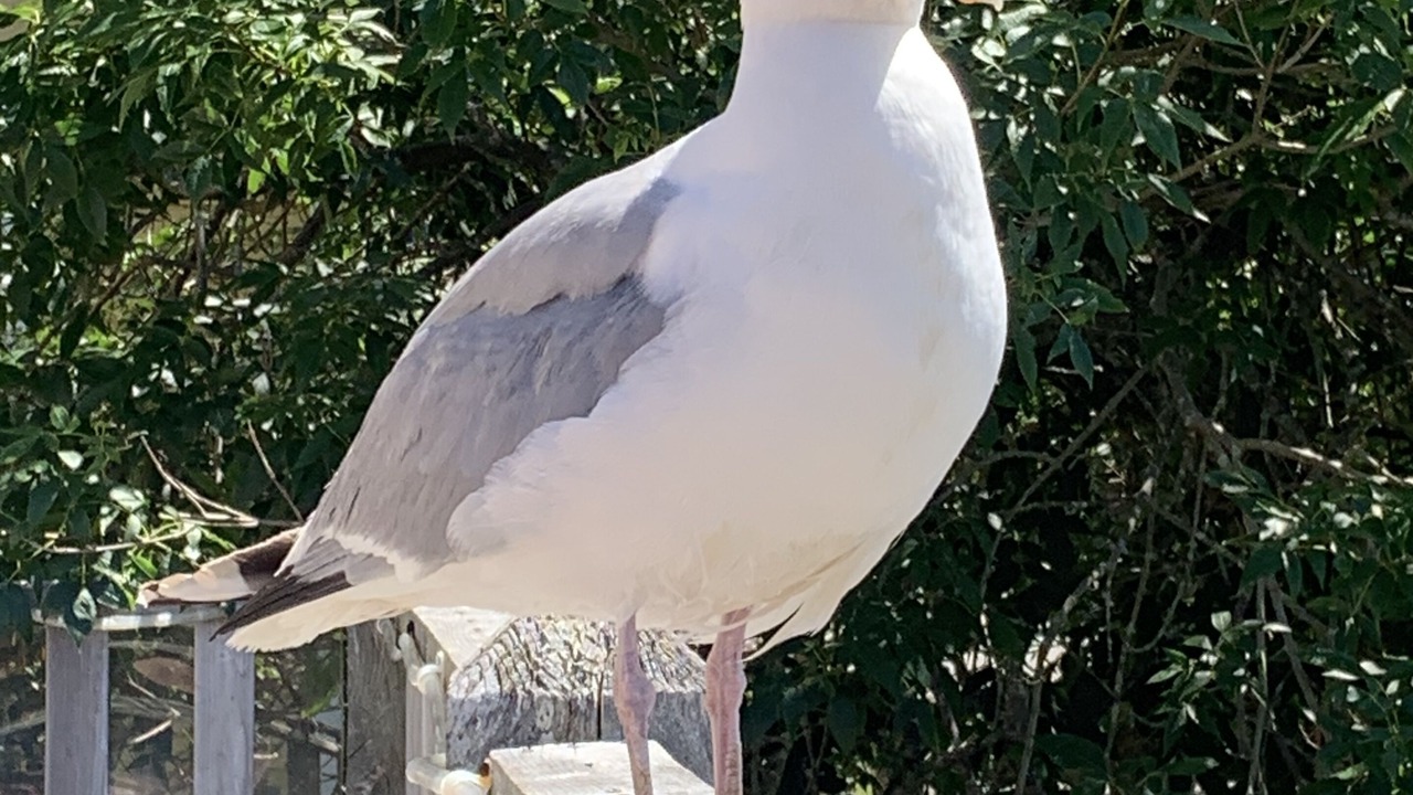 Photo of Others in Clare